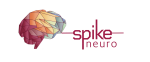 Spike Neuro